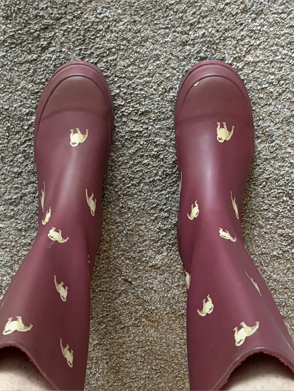 J Crew Vintage Critter Wellies featuring Bulldog / Pugs